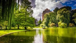 Boston Public Gardens