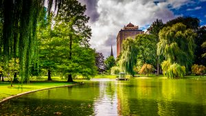 Boston Public Garden